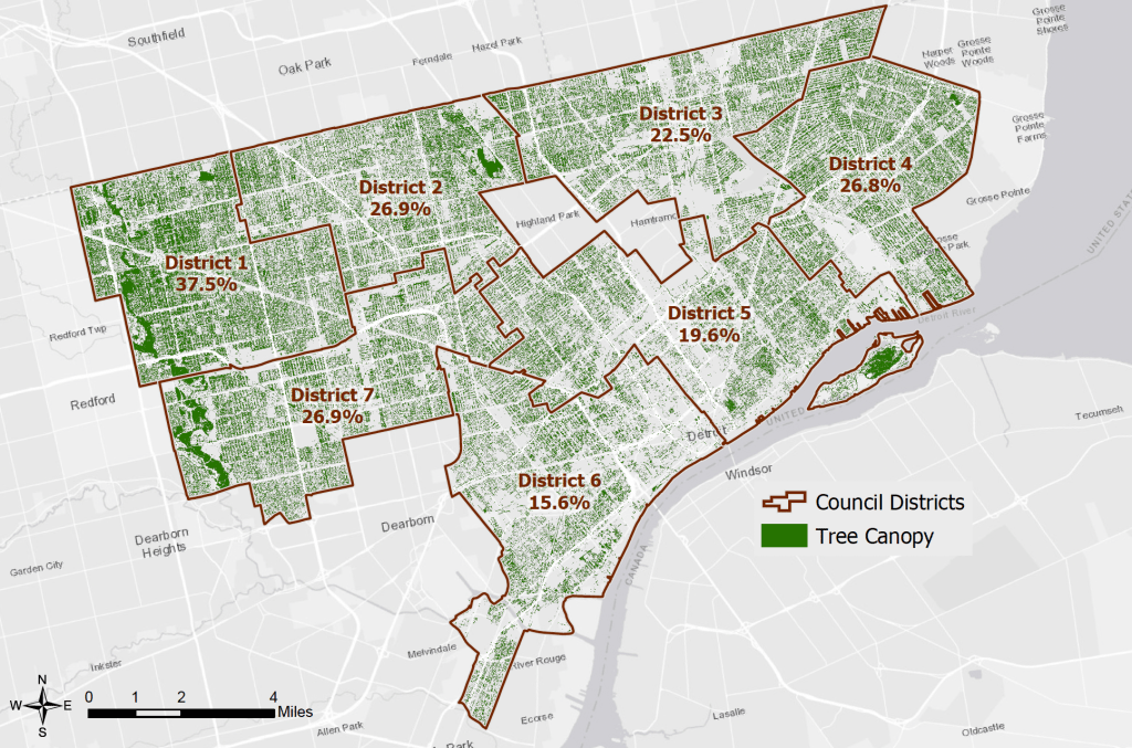 Detroit Tree Canopy Assessment by District. 2019.