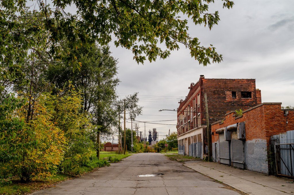Researchers say an effort in Delray could demonstrate the potential of urban forest patches to cool cities. Photos by Nick Hagen.