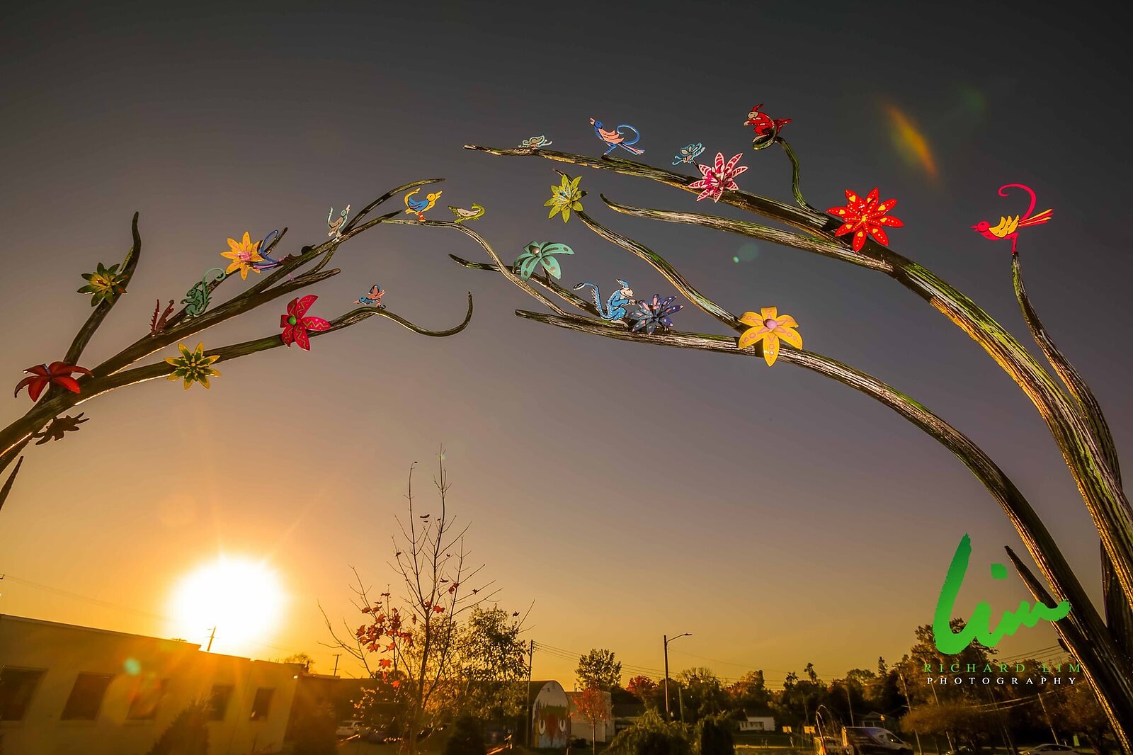 Photo: Supplied/Richard Lim Photography