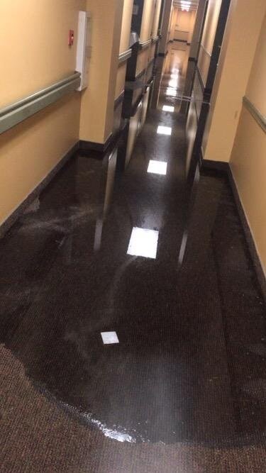Flooded Heritage Place at Magnolia hallway