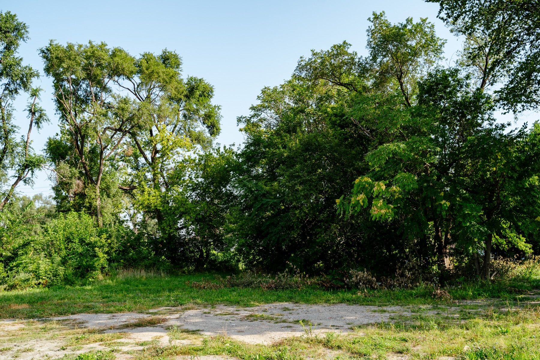 This empty lot will soon house the La Joya Gardens, a mixed use development that will add to the affordable housing stock in Detroit.
Photo by Nick Hagen