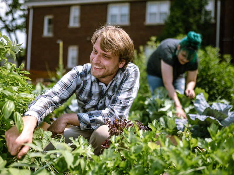 John Peterson and Lauren Potorek in AIHFS' garden.