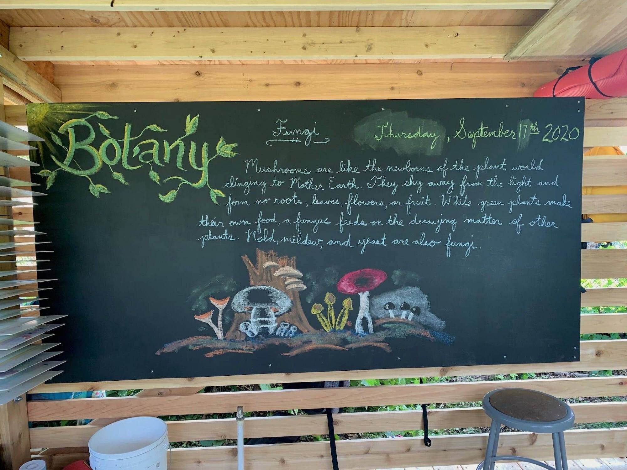 Photo courtesy Detroit Waldorf School.