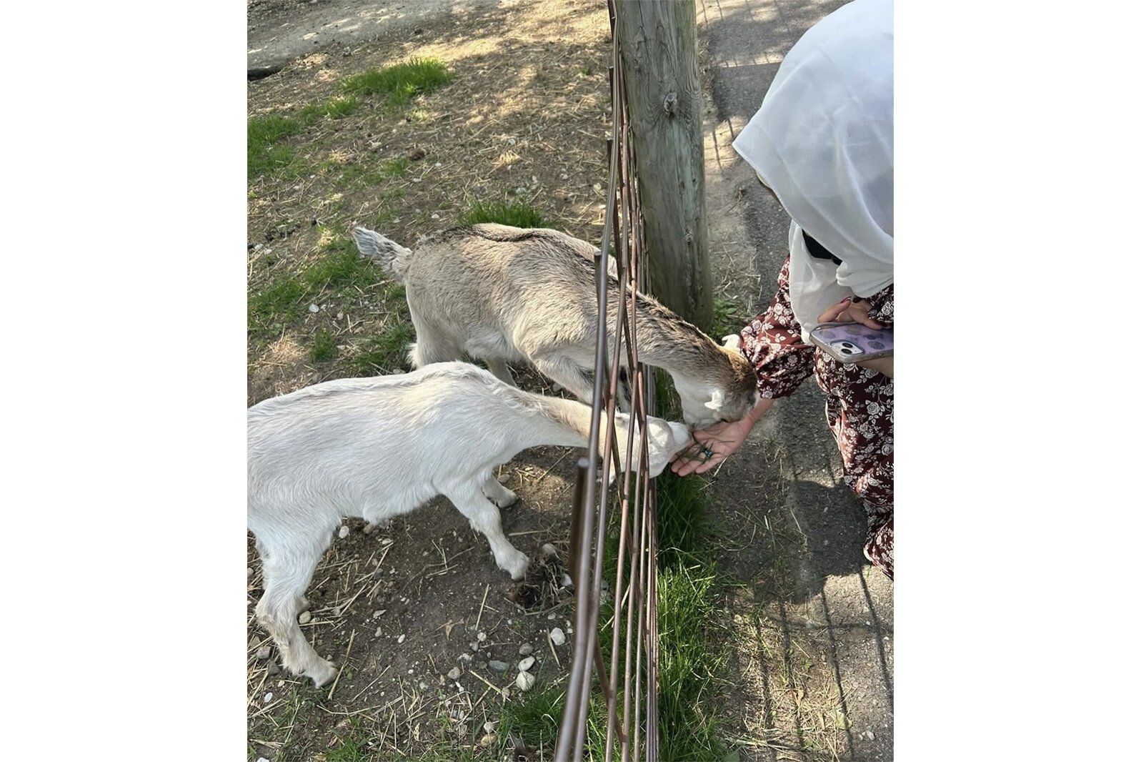 Global Educational Excellence students on a field trip.
