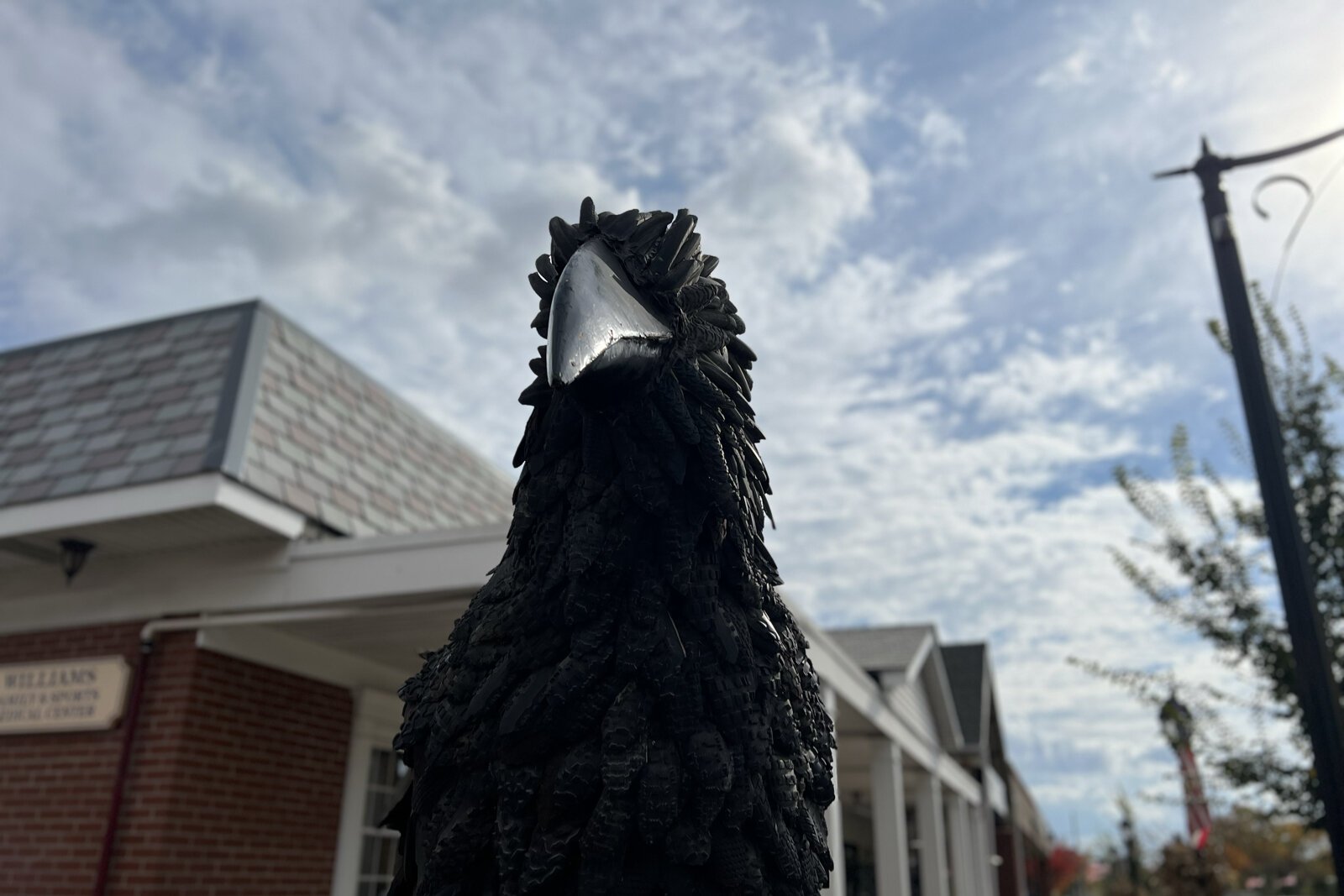 Edgar the Grand Raven at his temporary roost as work proceeds at Masons Corner, the 700-pound sculpture's usual perch.