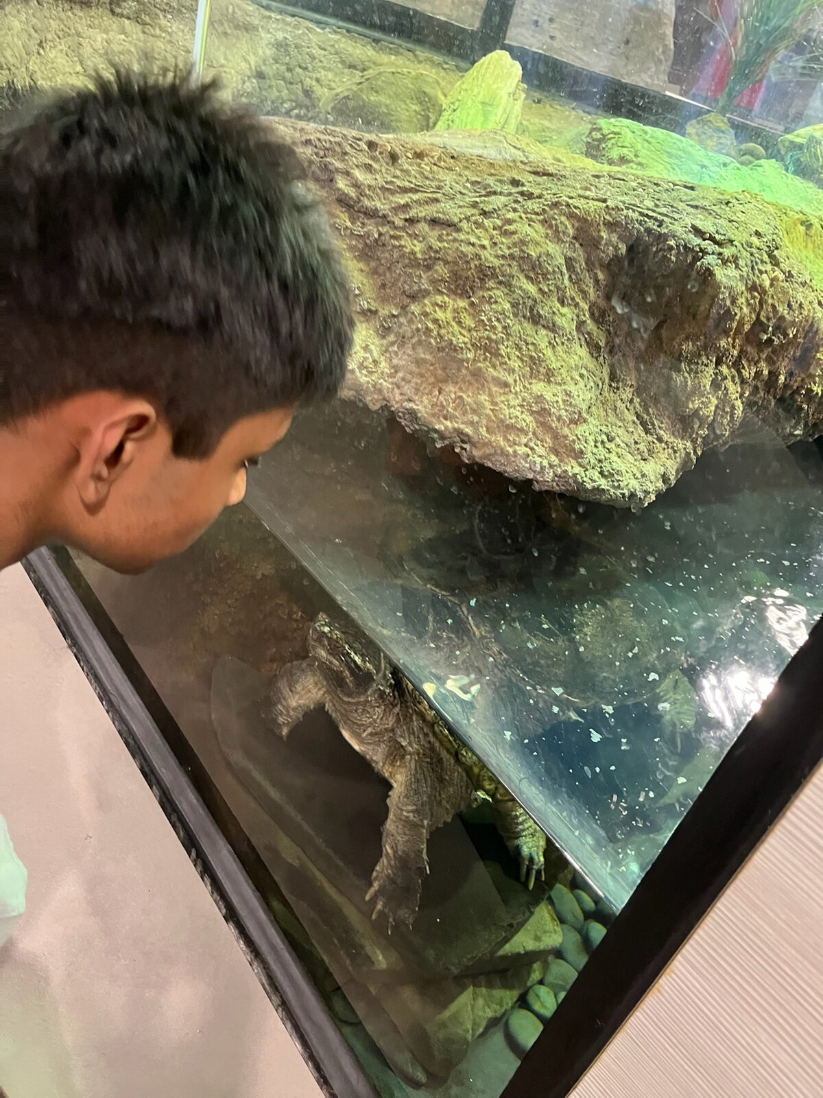 A student from Kosciusko Middle School in Hamtramck takes a field trip to Nankin Mills Interpretive Center.