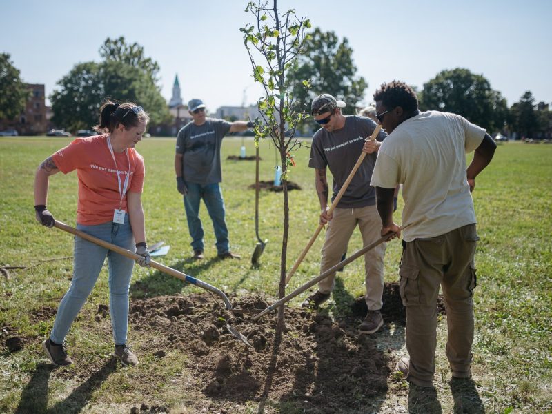 People plant trees during a volunteer work day at Palmer Park in Detroit.