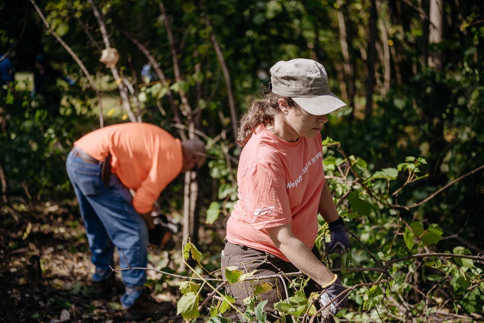 Volunteers remove invasive species at Palmer Park in Detroit.