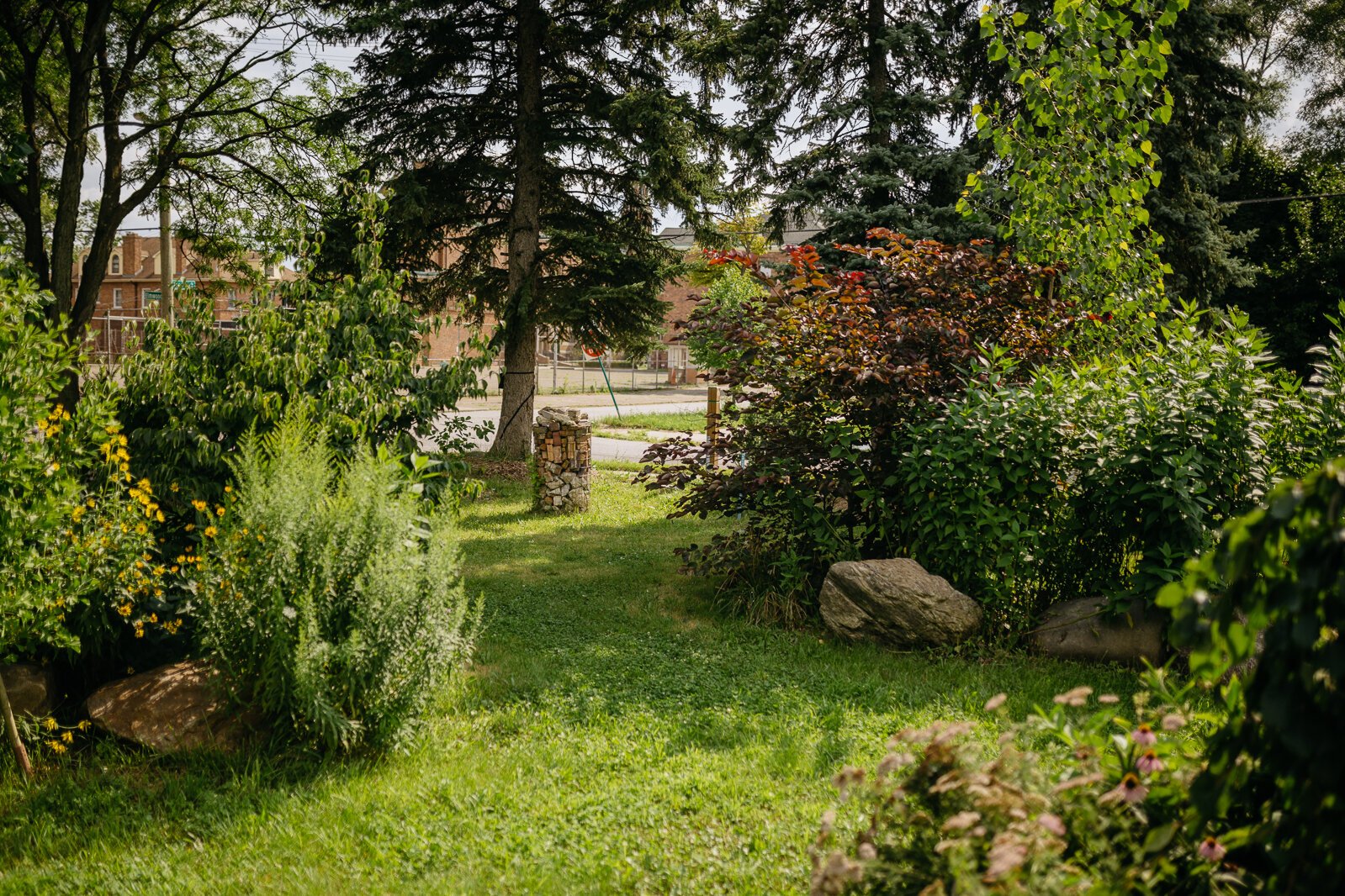 Arboretum Detroit's Treetroit One park.