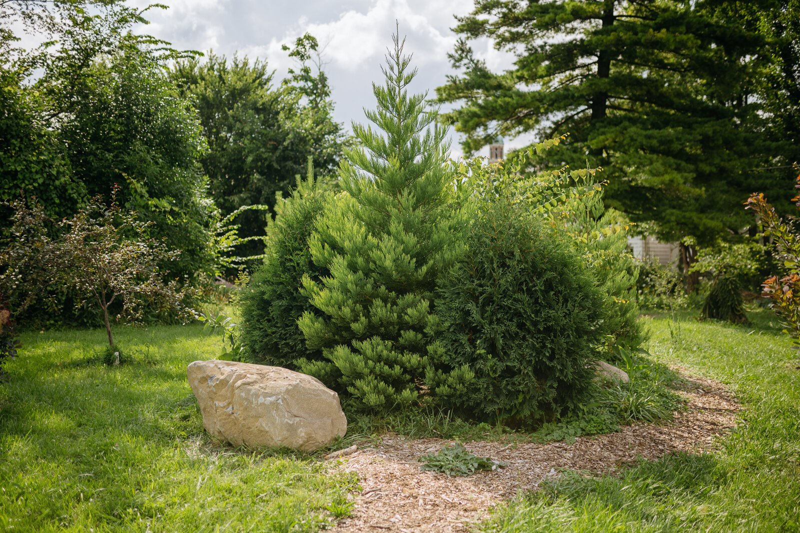 Arboretum Detroit's Treetroit One park.
