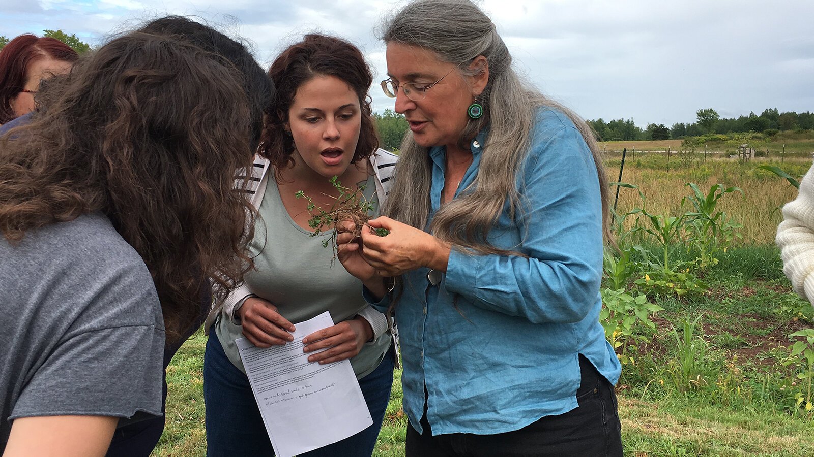 A DIGs workshop on how plants communicate their needs to us.