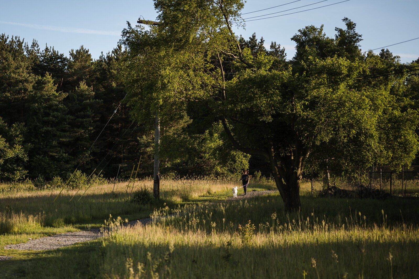 A hiker on the Polly Ann Trail.