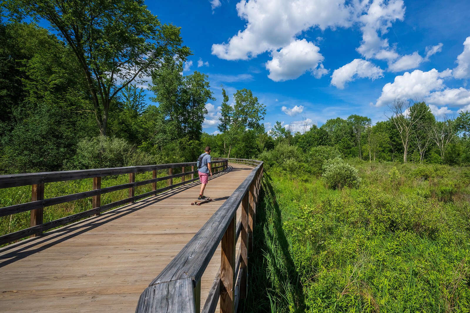 The Border-to-Border Trail between the city of Dexter and Hudson Mills Metropark, where one of WATS' trail counters is located.