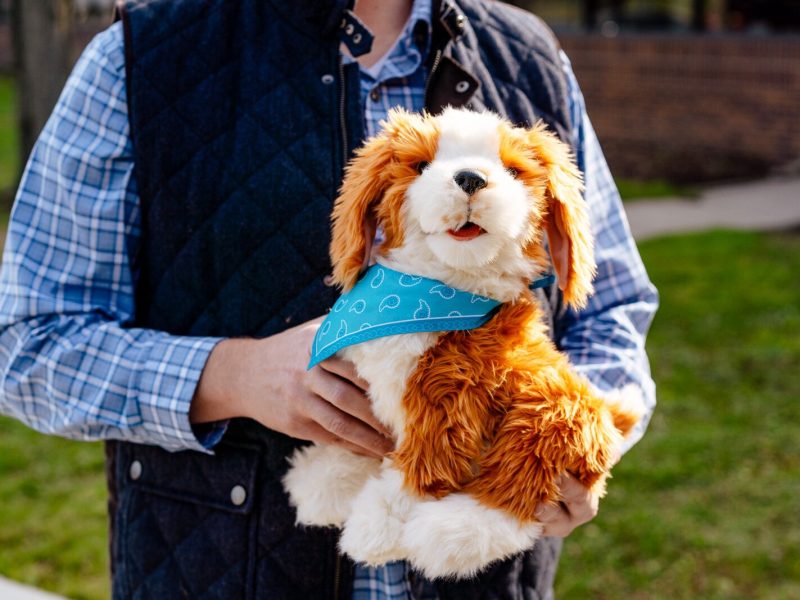 A Joy for All robotic dog.