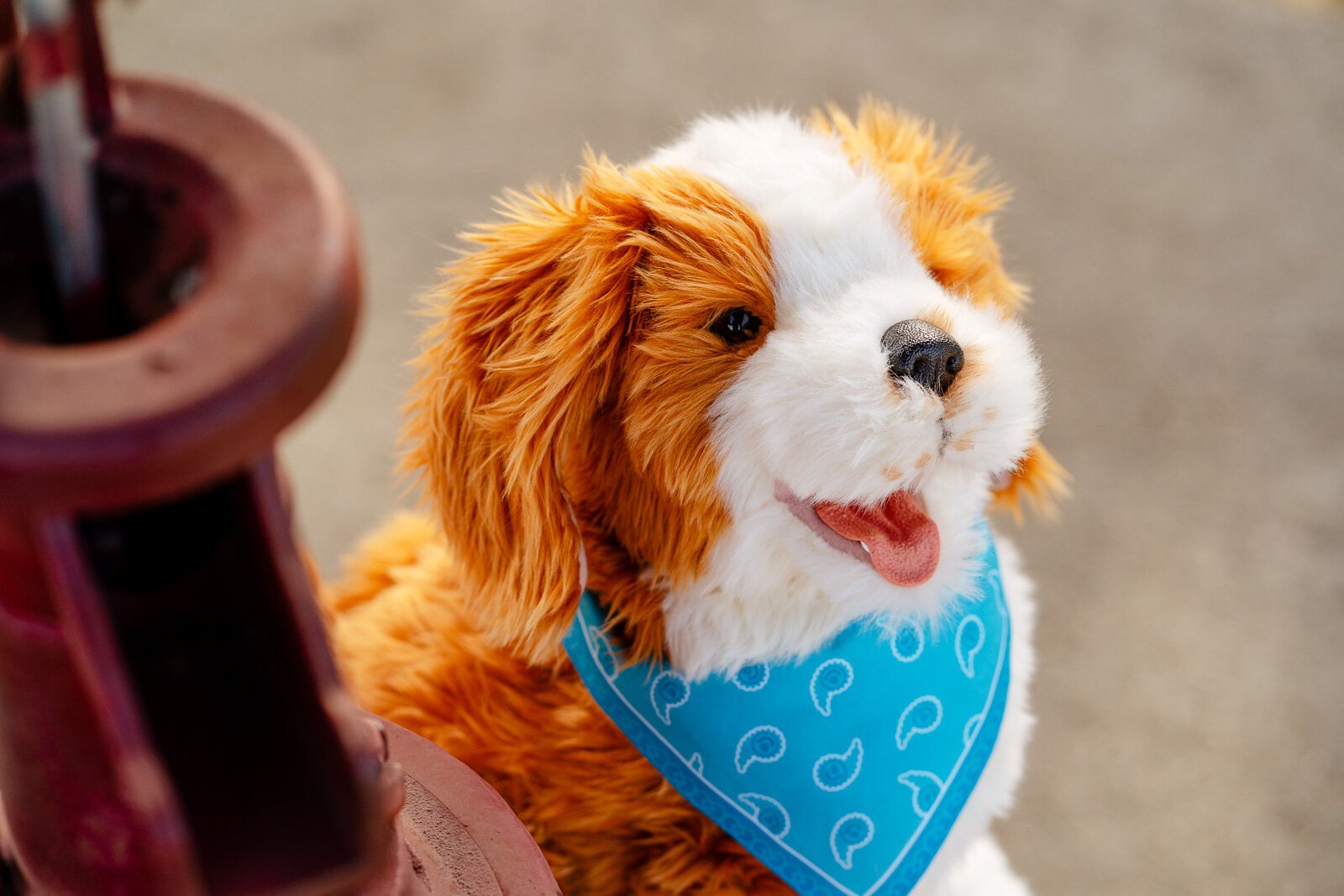 A Joy for All robotic dog.