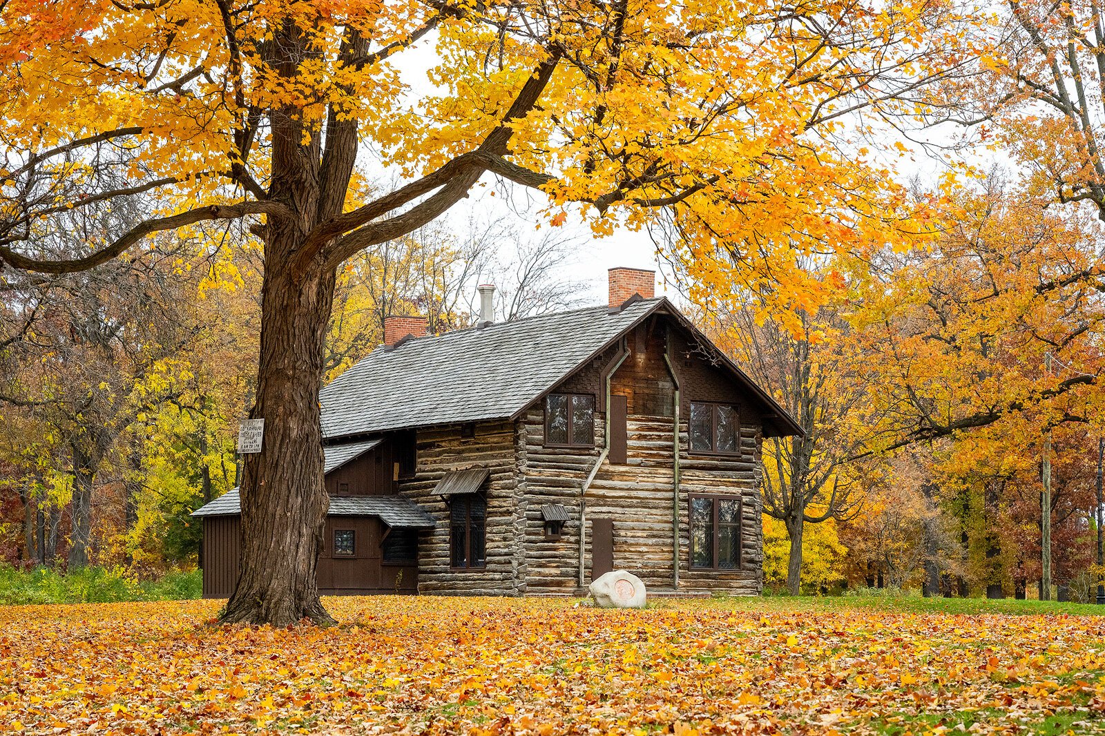 Palmer Park Log Cabin