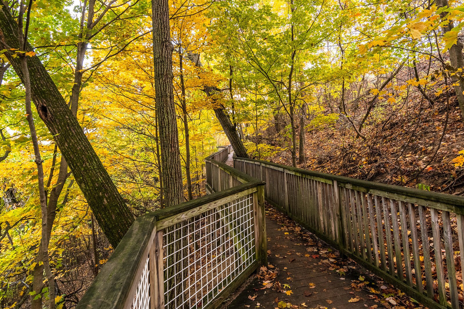 Mt. Pisgah. Photo by Doug Coombe.