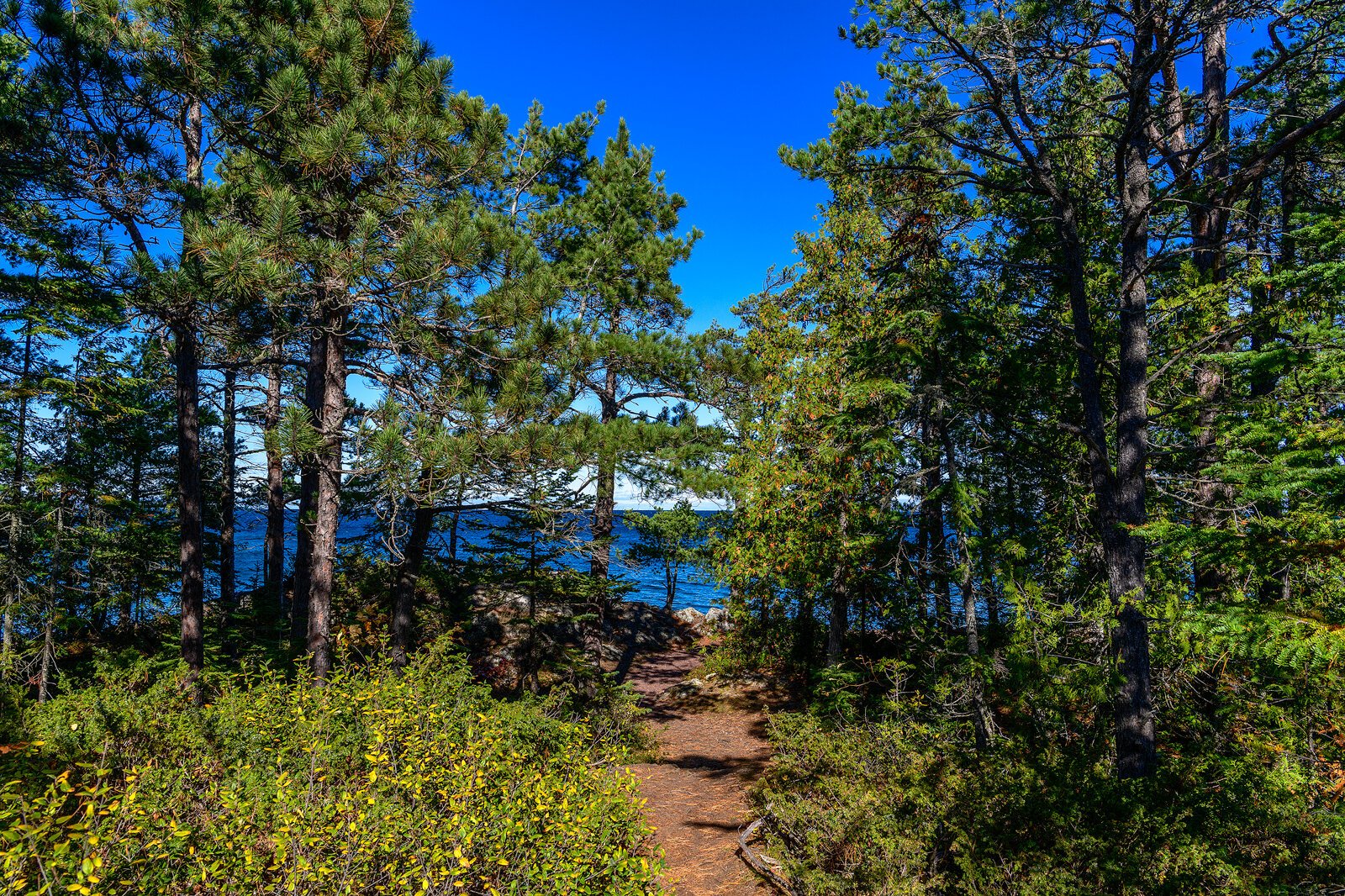 Hunters Point Park. Photo by Doug Coombe.