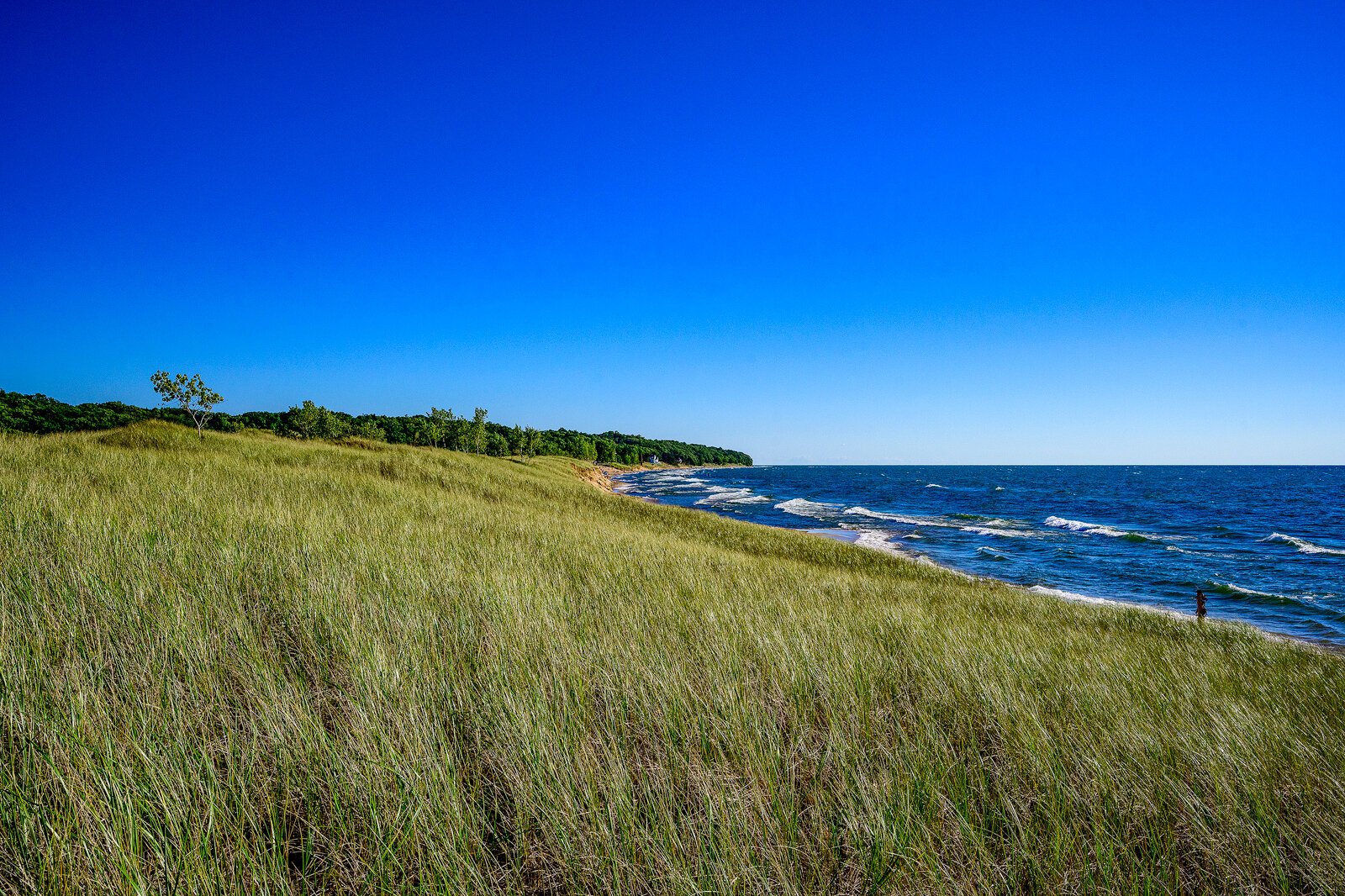Saugatuck Harbor Natural Area. Photo by Doug Coombe.