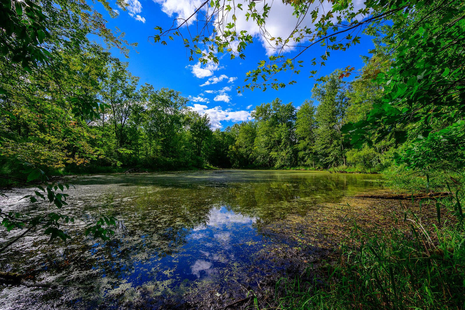 Cranberry Lake Park, Oakland Township. Photo by Doug Coombe.