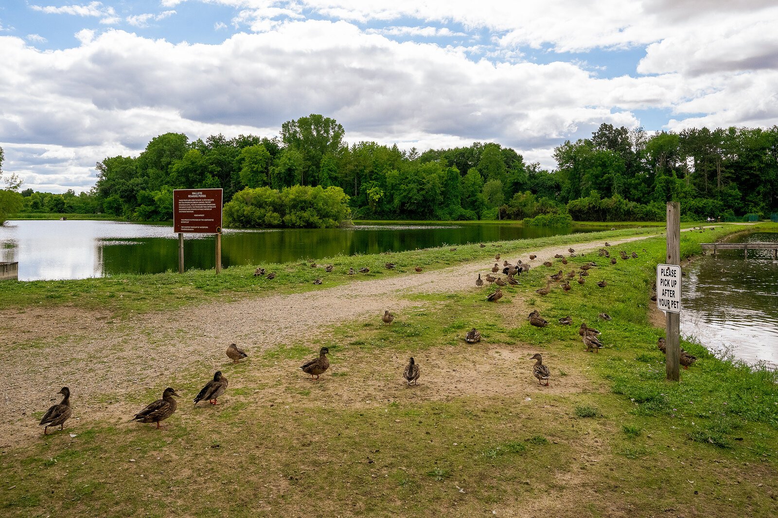 Drayton Plains Nature Center Waterford Township. Photo by Doug Coombe.