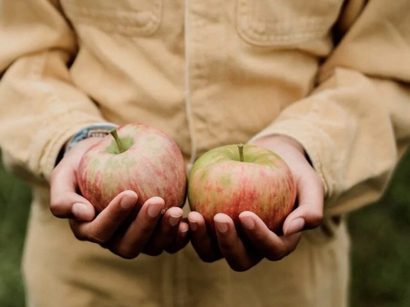 “Creating greenspaces for community gathering and food production in our urban areas means more resilient neighborhoods that are able to provide for themselves and their residents,” said MEDC Regional Prosperity Managing Director Paula Holtz.