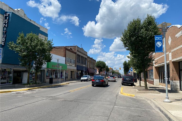 Hamtramck is a city that's only 2 square miles but has the highest population-density numbers in Michigan. The proposed park on residential street Trowbridge is a unique opportunity for the community to convert a vacant lot into a public space.