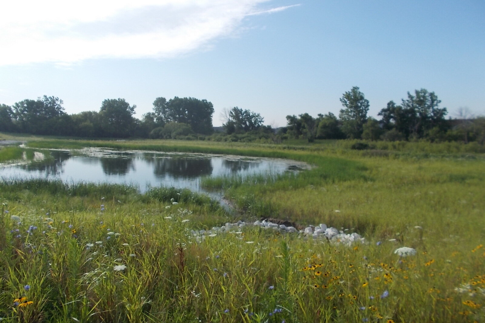 By the year 2035, Milwaukee Metropolitan Sewerage District plans to create enough green infrastructure in its service area to capture 740 million gallons of water every time it rains. This is a completed wetlands.Photo courtesy MMSD