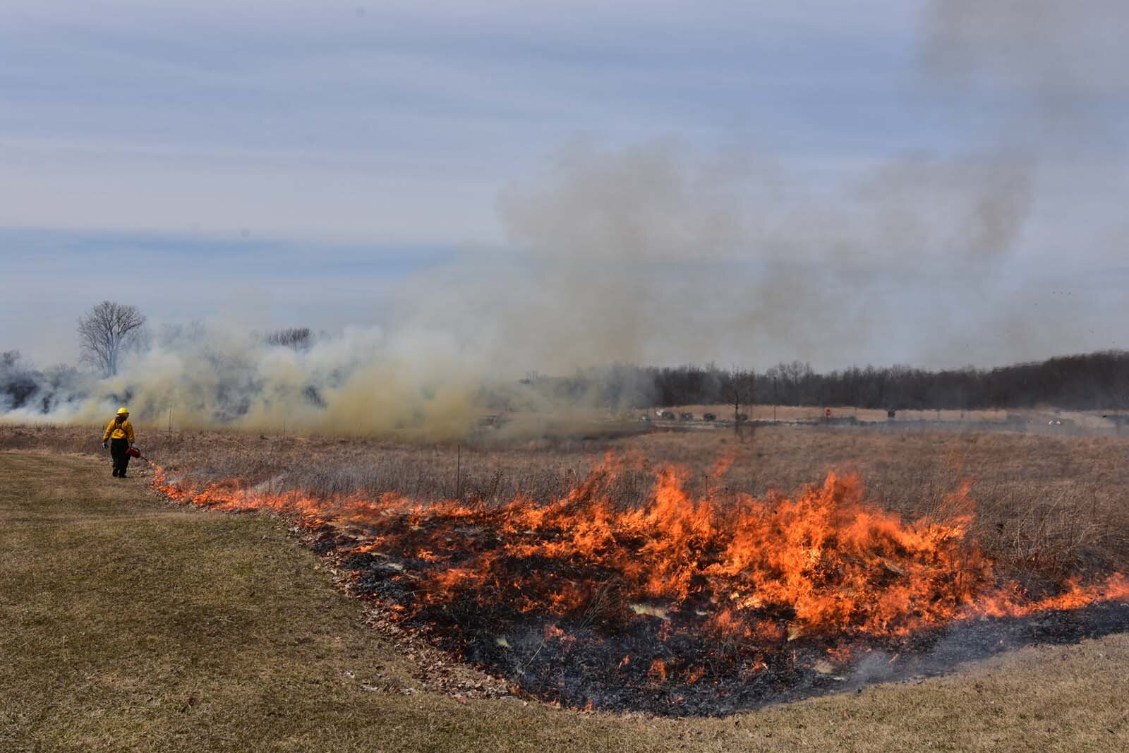 A prescribed burn in the Huron-Clinton Metroparks.